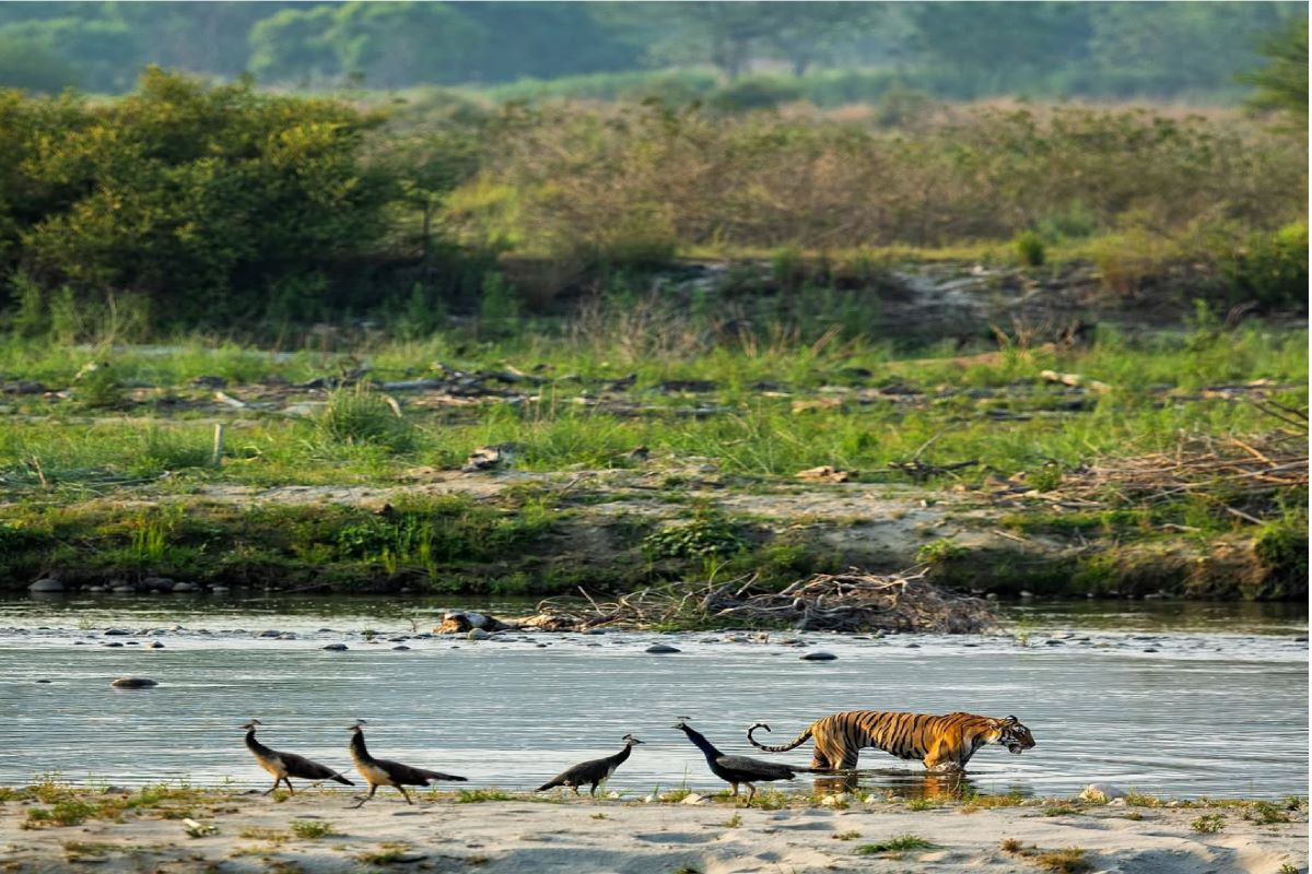 Uttarakhand Tour Gallery